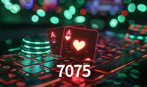 Recursos de Bônus 7075