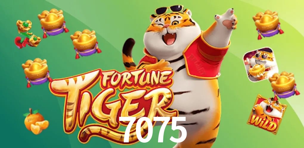 Bonus Features 7075